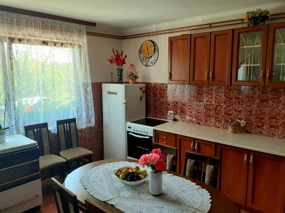 Domacinstvo Sindelic Ξενοδοχείο Ιβάνιτσα Εξωτερικό φωτογραφία