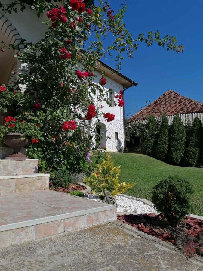 Domacinstvo Sindelic Ξενοδοχείο Ιβάνιτσα Εξωτερικό φωτογραφία